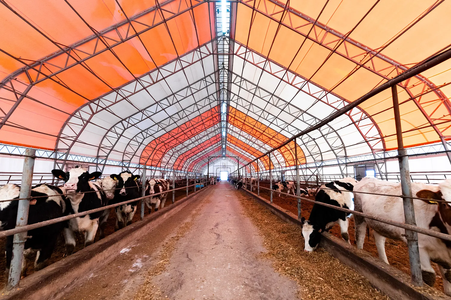 Начало строительного сезона: растёт спрос на каркасно-тентовые ангары