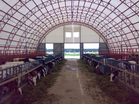 Изображение 1 Fattening calf shed - Republic of Mari-El